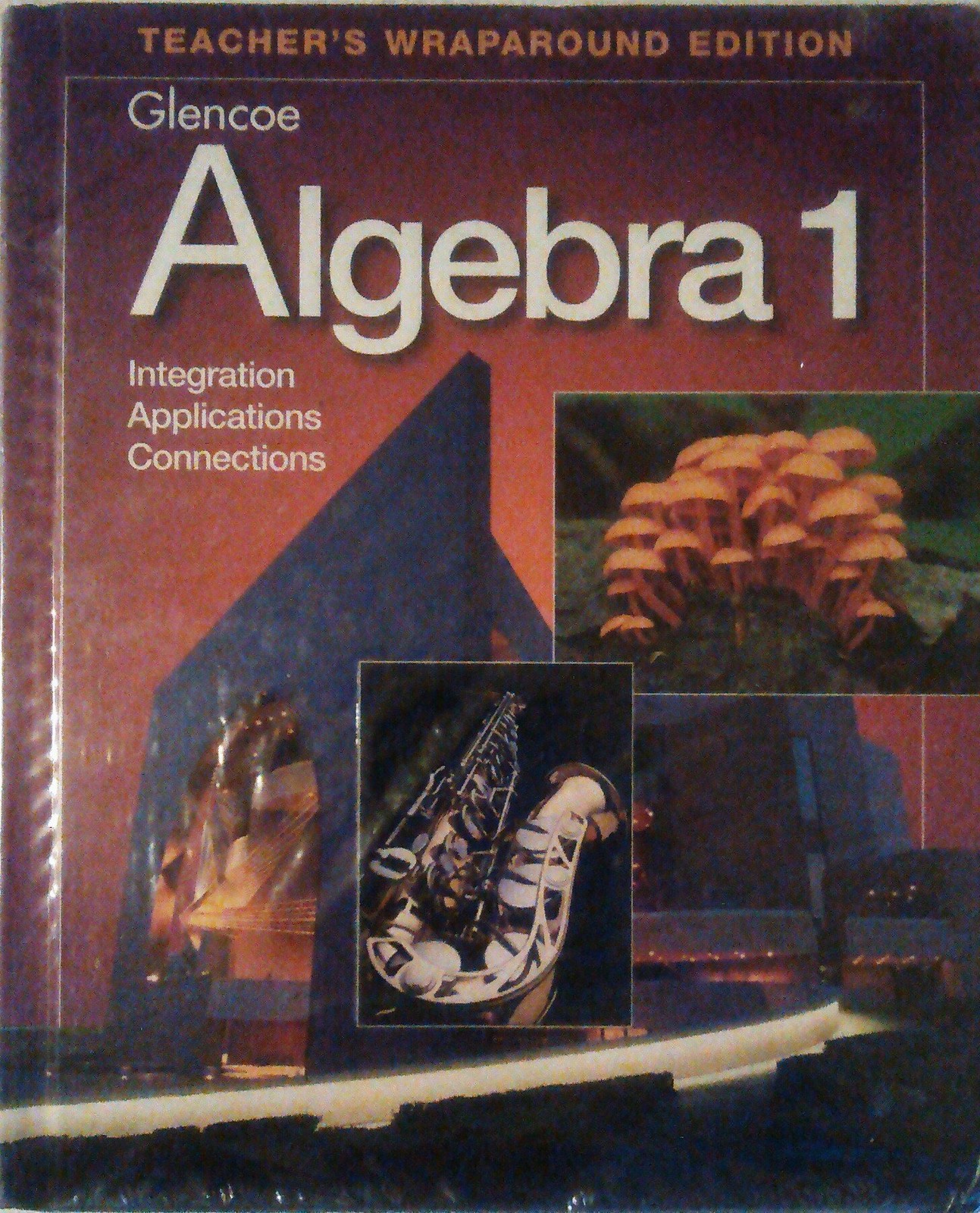 Glencoe Algebra 1 Teacher’s Wraparound Edition
