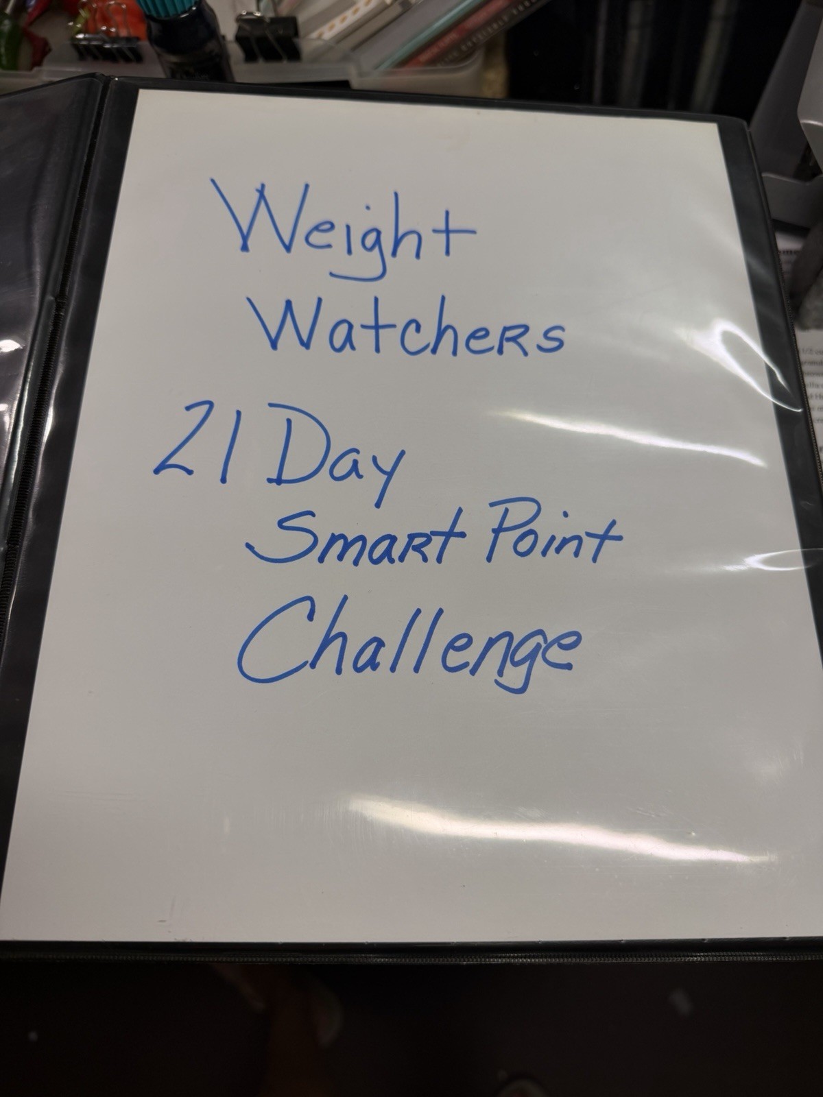 Weight Watchers SmartPoint Recipe Binder 19 Section Custom Printed Cookbook Lot
