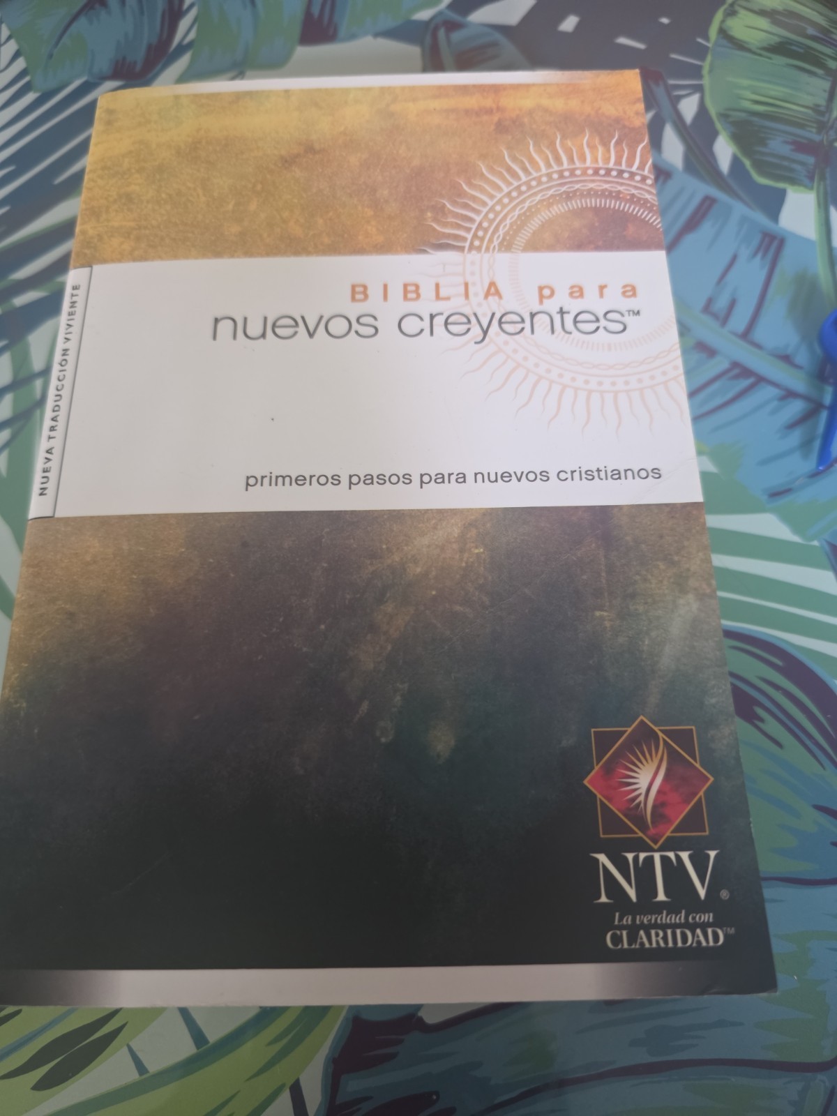Biblia para nuevos creyentes NTV (Spanish Edition)