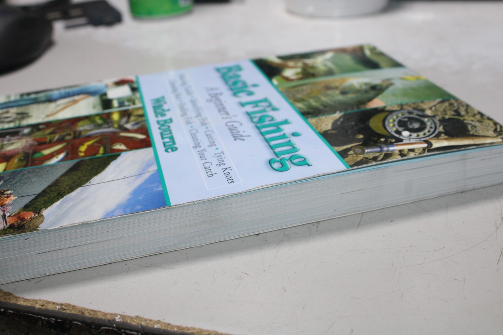 Basic Fishing: A Beginner’s Guide by Bourne, Wade