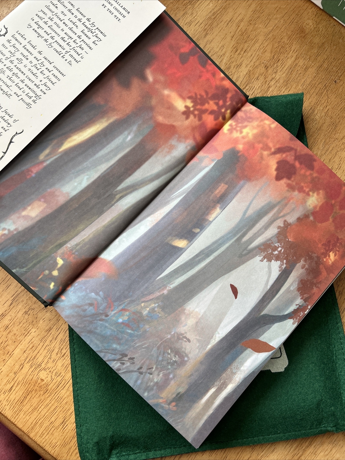 NEW UNREAD Bookish Box Autumn’s Tithe by Hannah Parker SIGNED Exclusive Edition