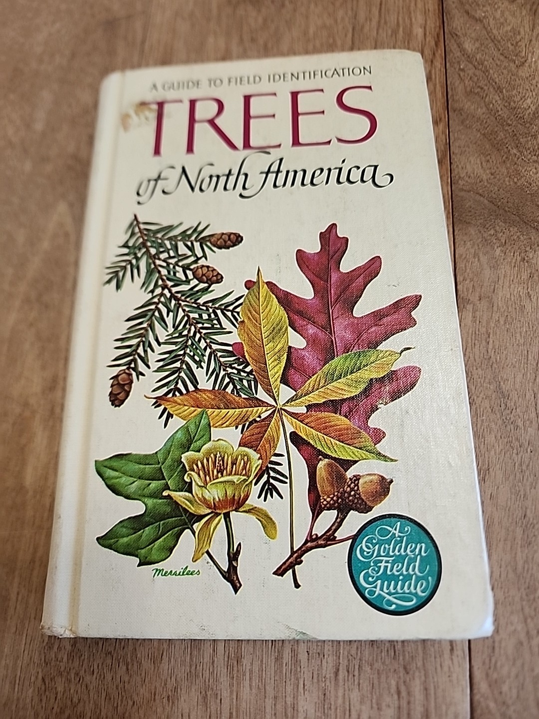 A Guide To Field Identification Trees of North America 1968 Golden Field Guide