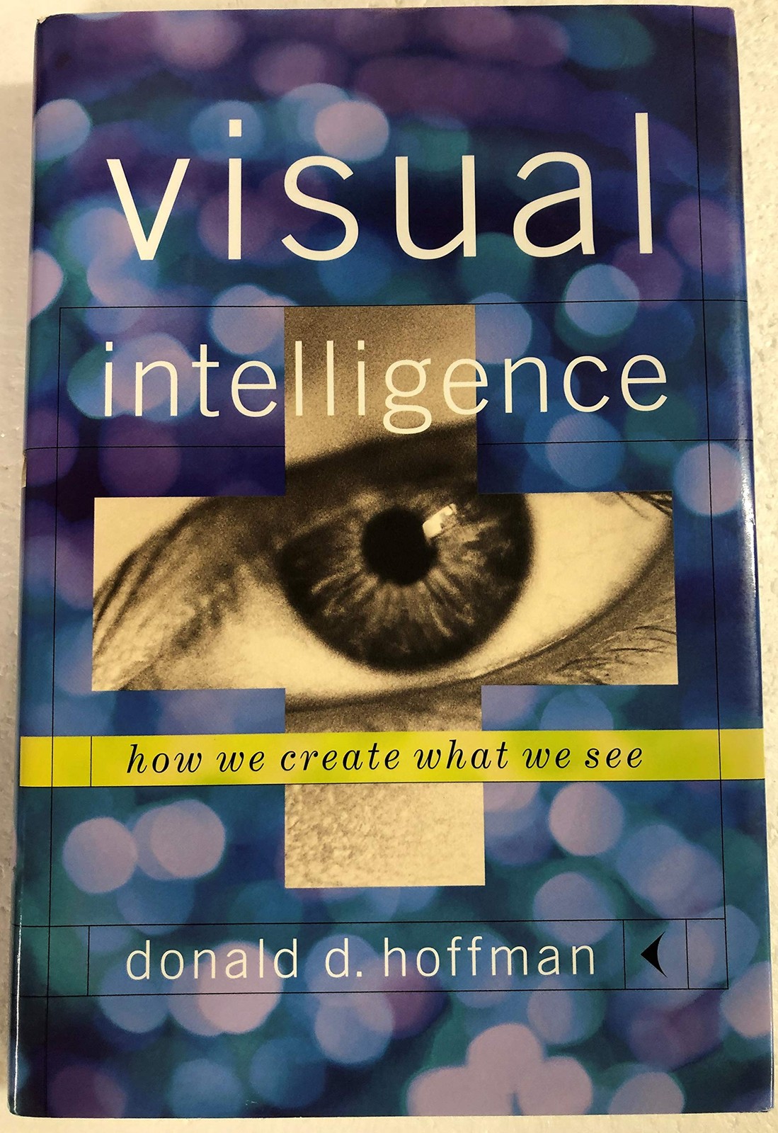 Visual Intelligence: How We Create What We See by Hoffman