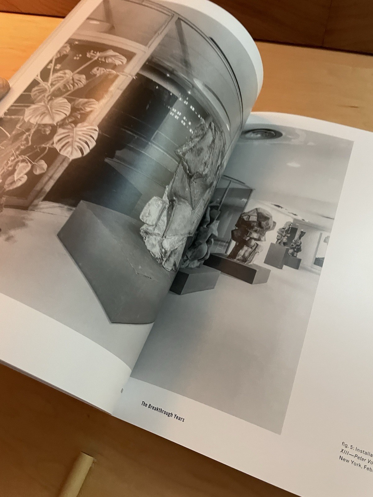 Peter Voulkos : The Breakthrough Years by Elissa Auther (2016, Trade Paperback)