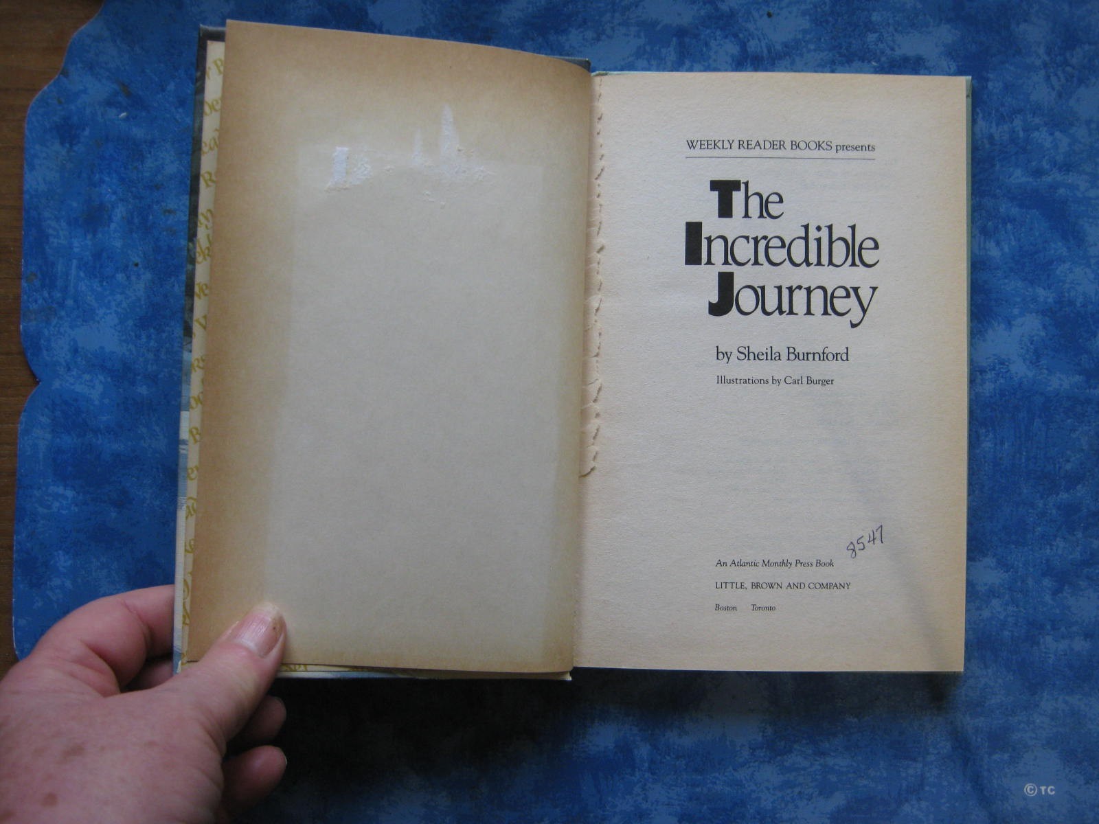 Vtg THE INCREDIBLE JOURNEY Weekly Reader Book SHEILA BURNFORD HC 1961 Illust VGC