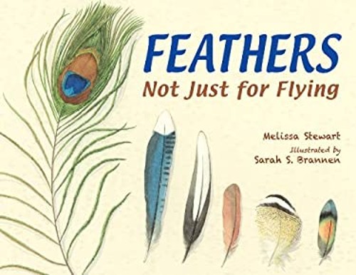 Feathers : Not Just for Flying Hardcover Melissa Stewart