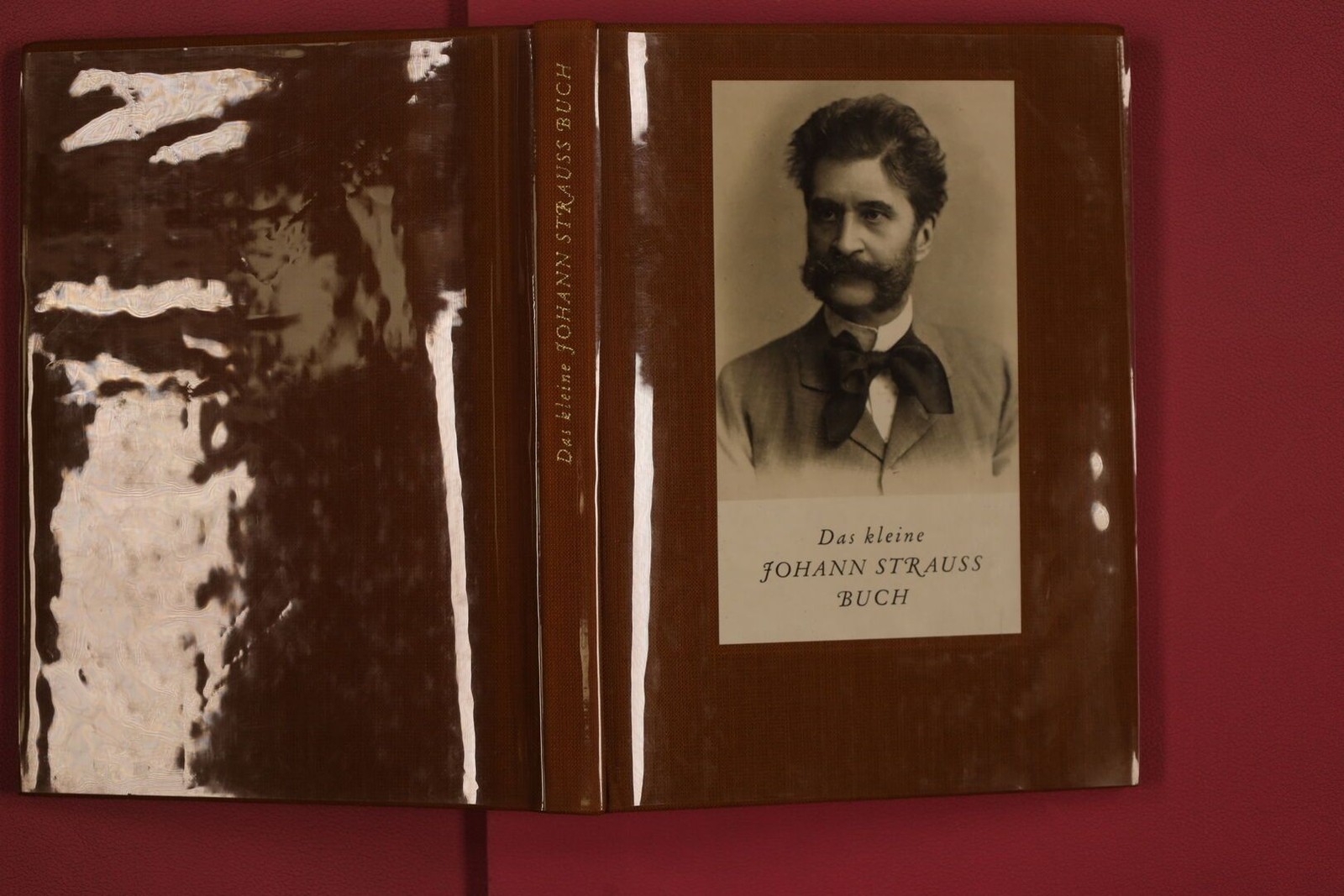 293172 Franz Mailer DAS KLEINE JOHANN STRAUSS BUCH Residenz Verlag HC