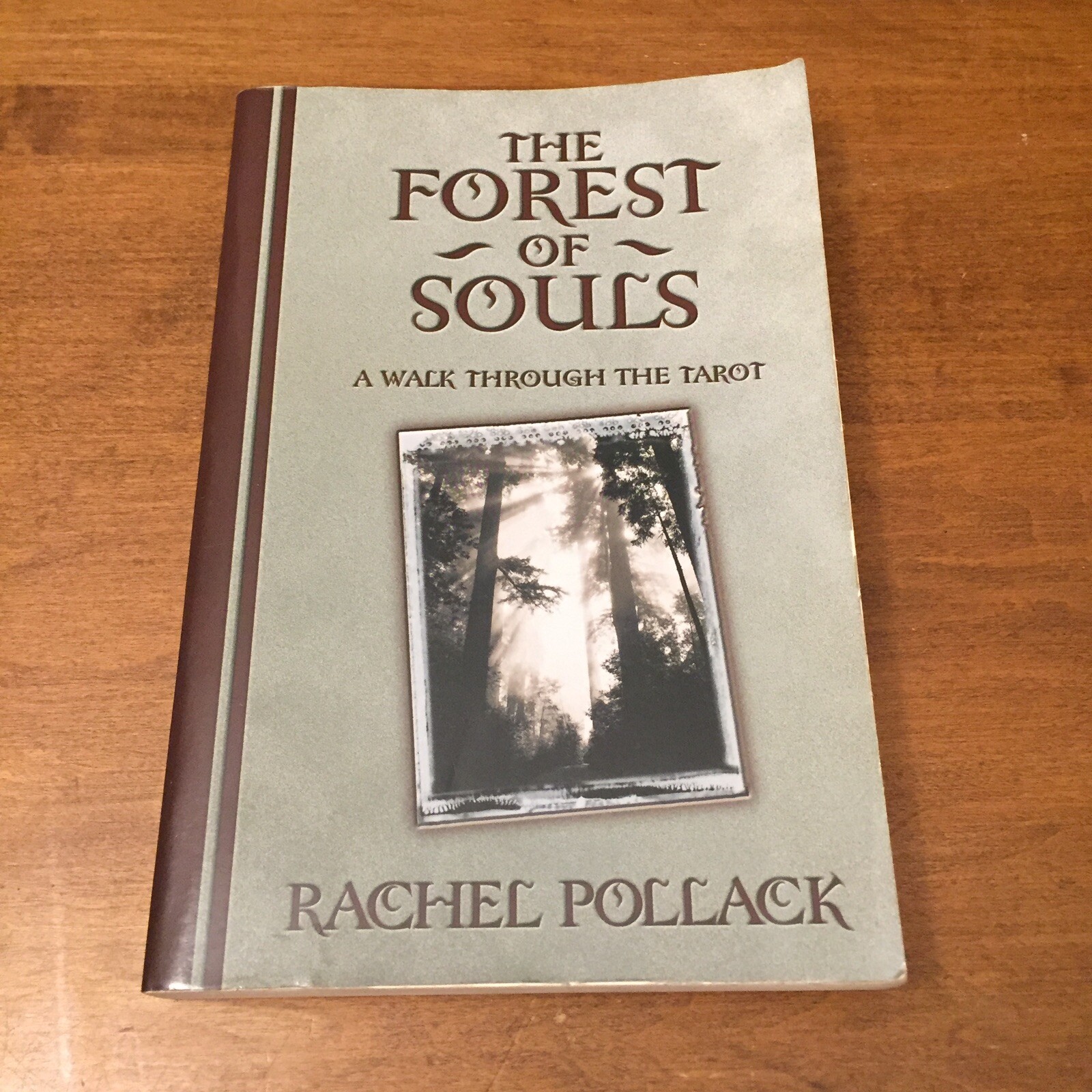 The Forest of Souls: A Walk Through the Tarot Rachel Pollack 2005 Llewellyn TPB