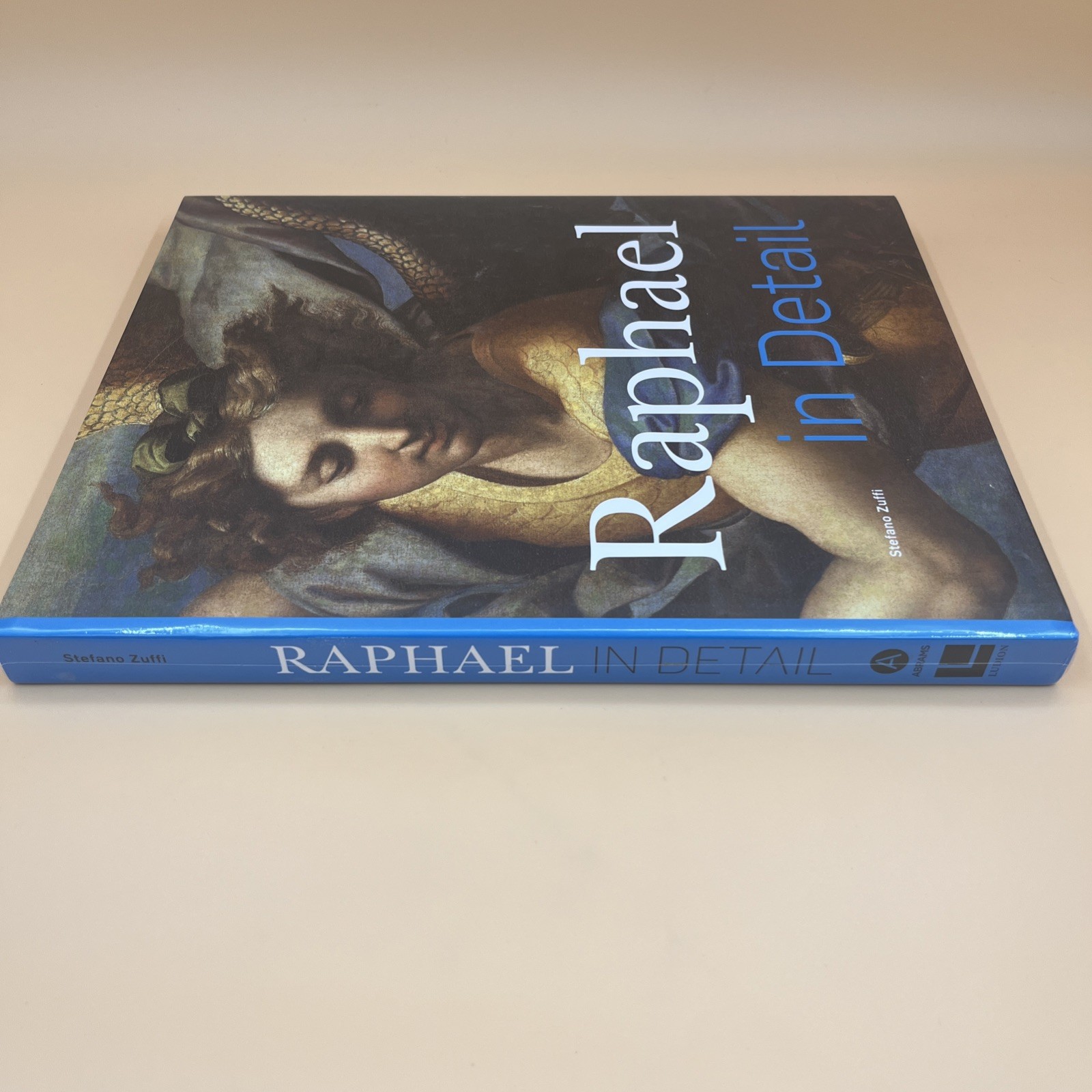 Raphael in Detail (2020, Hardcover) • Renaissance Art Book • BRAND NEW SEALED
