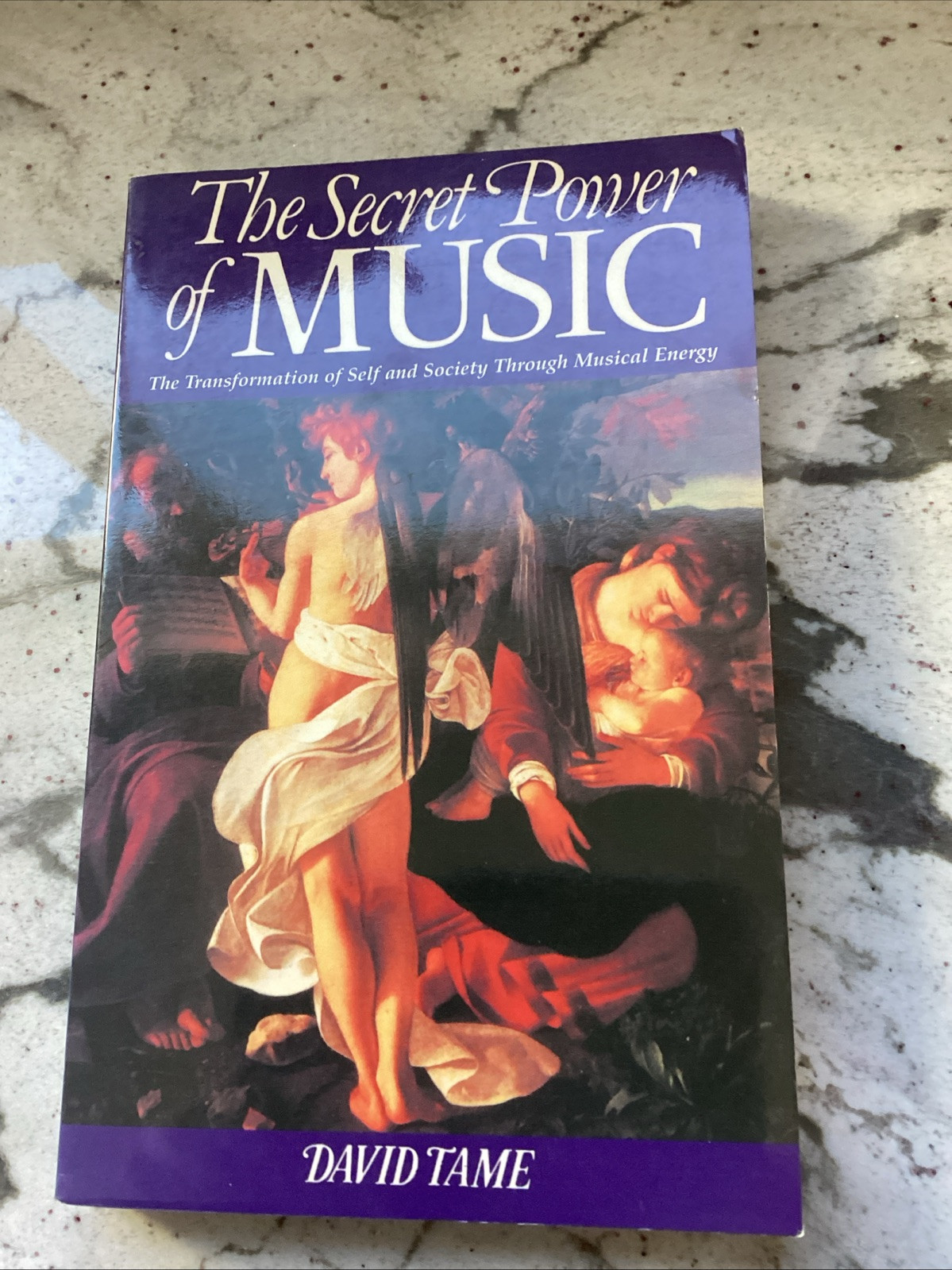 The Secret Power Of Music David Tame 1984 SC Book, Destiny, Musical Energy