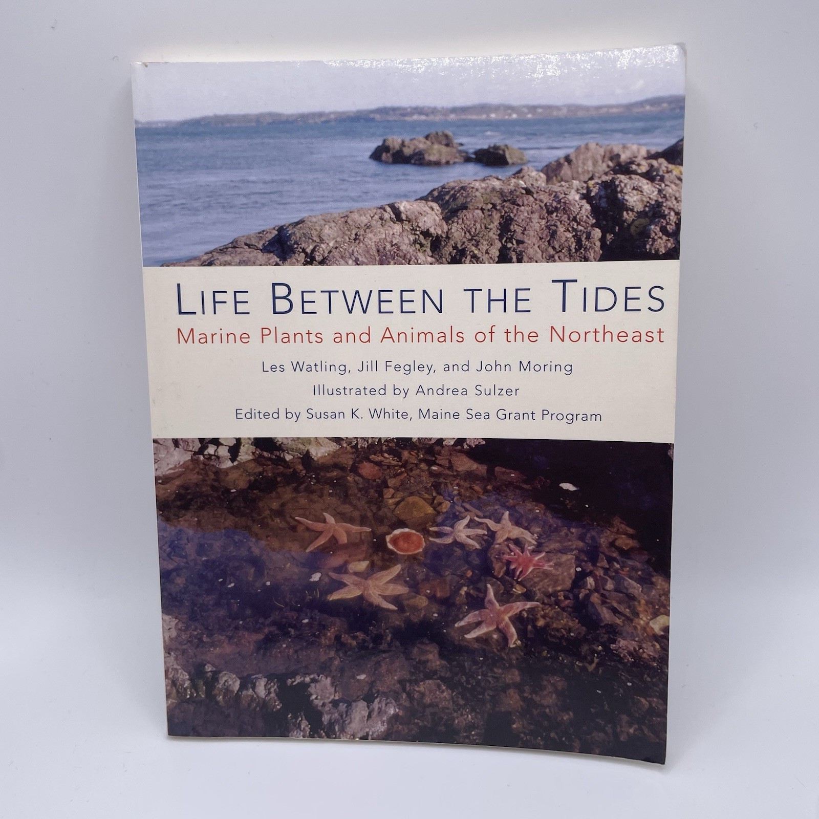 Life Between the Tides : Marine Plants and Animals of the Northeast by Les…