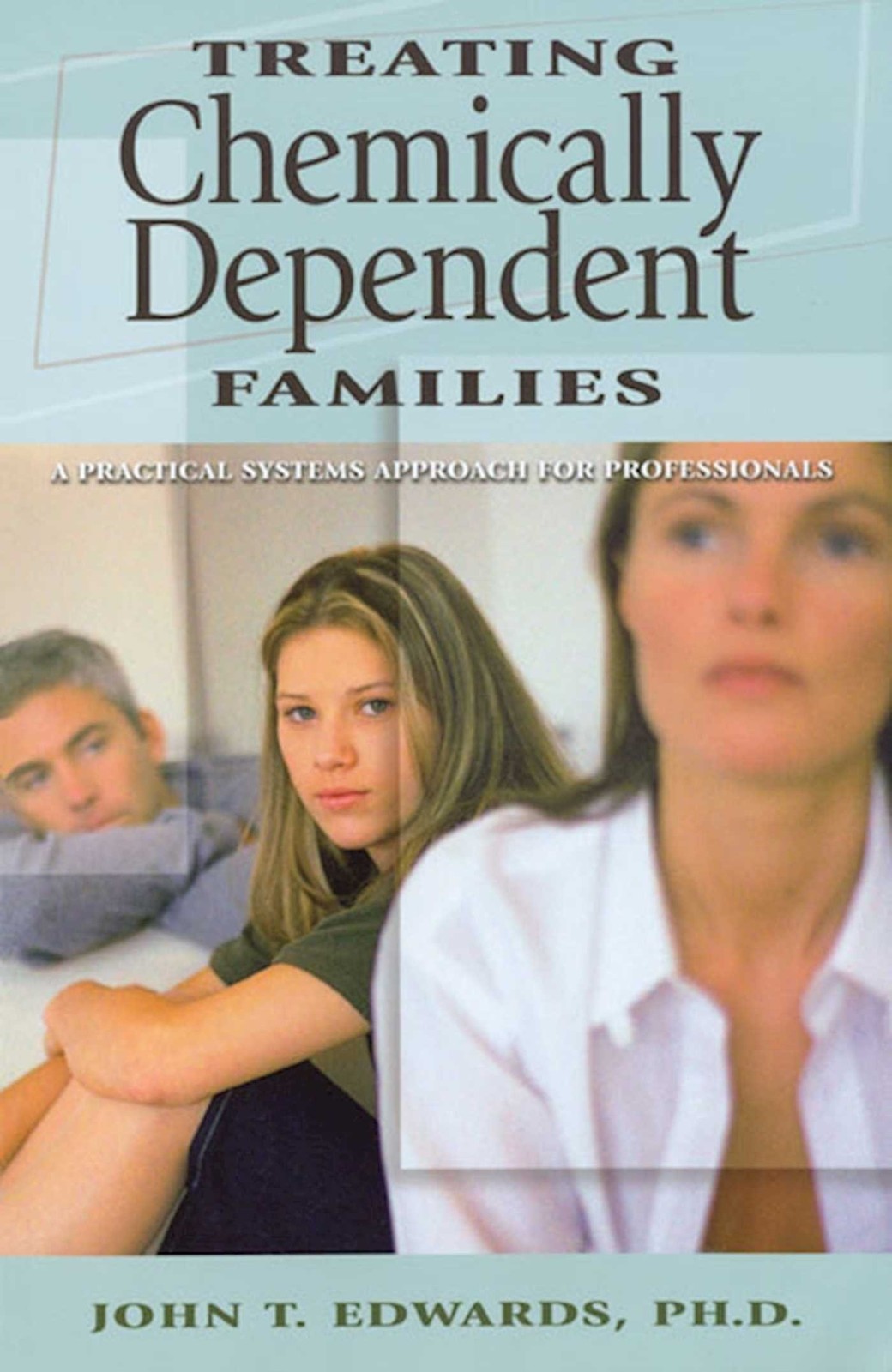 Treating Chemically Dependent Families: A Practical Systems Approach for Pro…