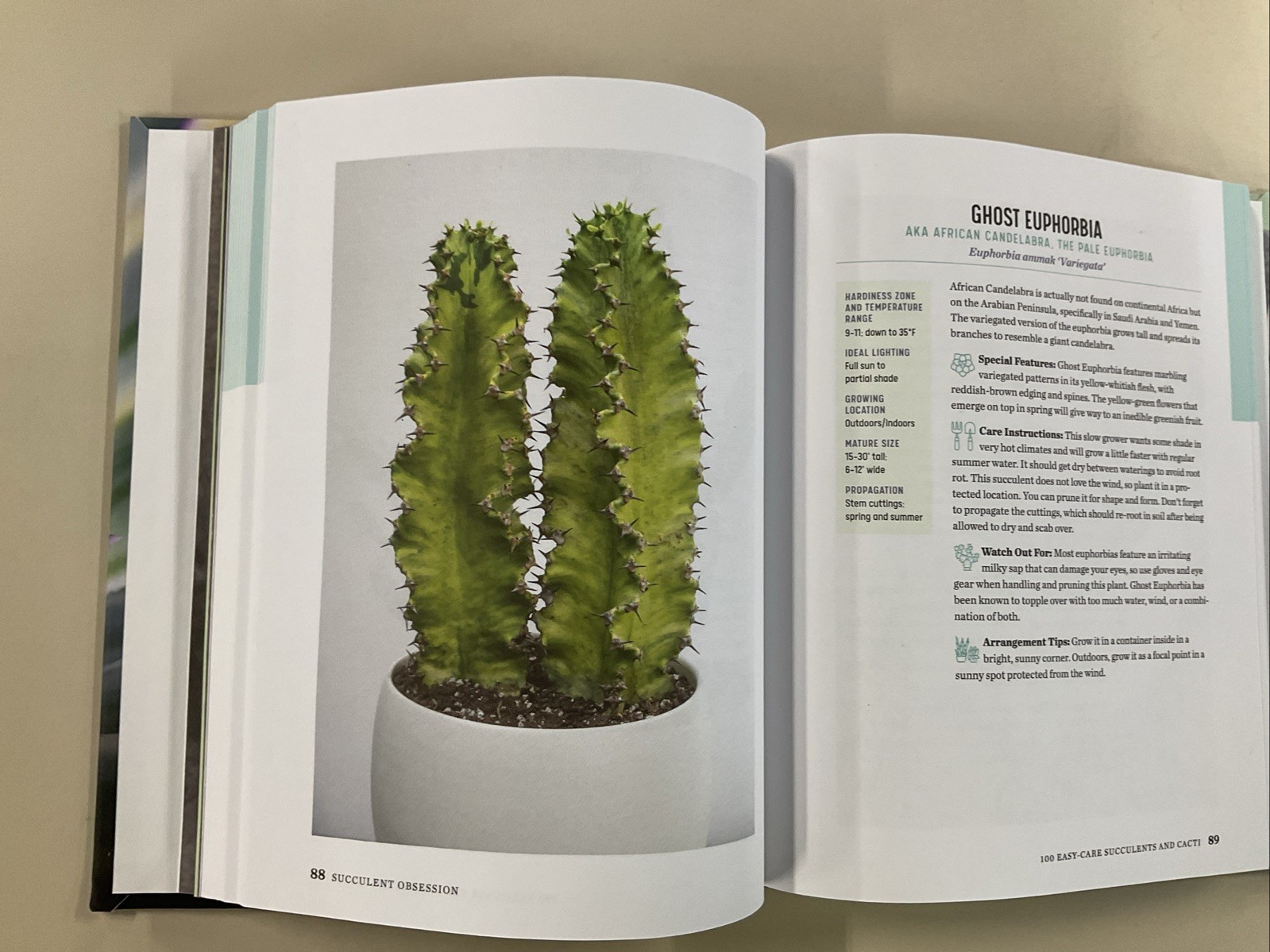 Succulent Obsession Complete Guide by Ken Shelf HC 2022 Rockridge Press