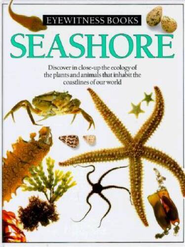 Seashore (Eyewitness Books) – Hardcover By Dorling Kindersley Ltd – ACCEPTABLE
