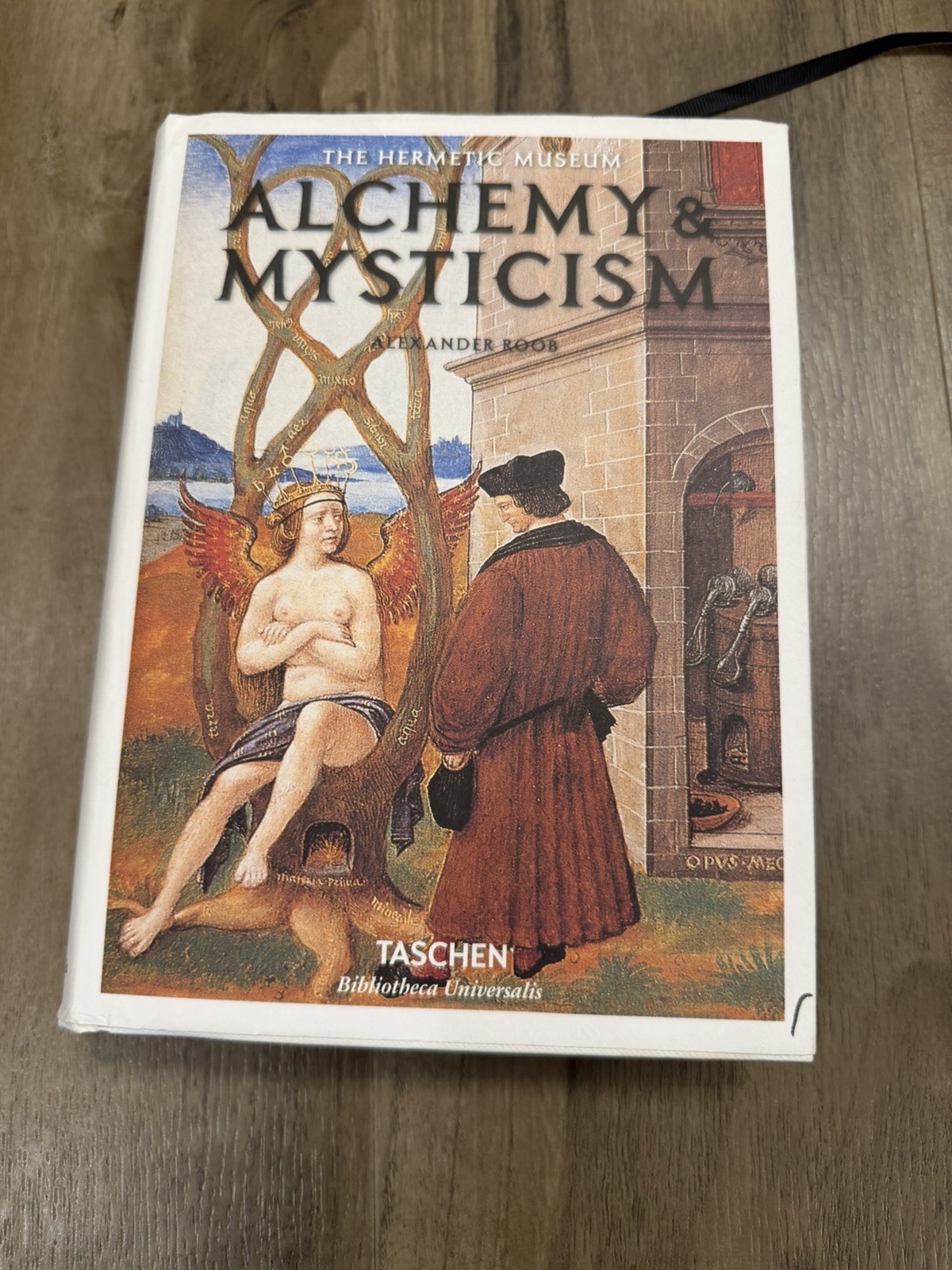 Alchemy and Mysticism: The Hermetic Museum (Klotz) by Roob, Alexander