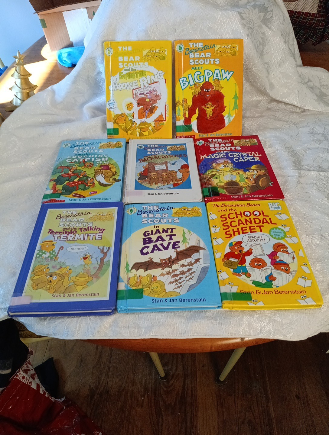 Lot Of 8 Bernstain 1990s Hard Bound Books