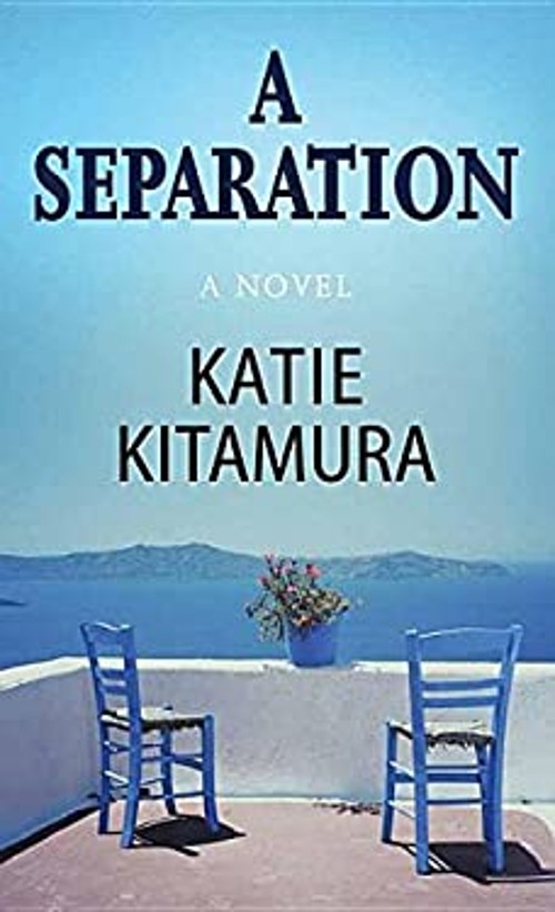 A Separation : A Novel Library Binding Katie Kitamura