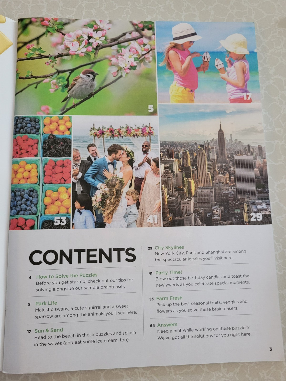 Brain Fun Picture Puzzles: Bundle of 2 – 63 Pages & 5 Categories of Fun In Each