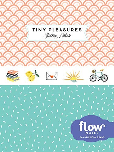 Tiny Pleasures Sticky Notes (Flow) – Unknown Binding By Smit, Irene – GOOD
