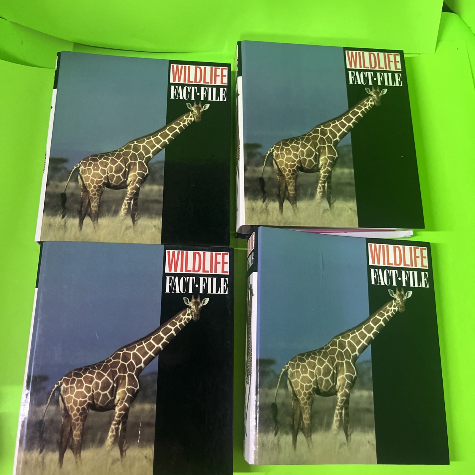 Wildlife Fact File 4 Binder Lot Set Groups 1-11 Animal All Cards Vtg