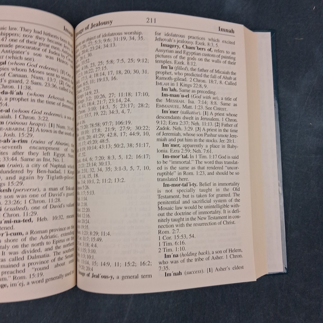 Large Print Reference Bible Dictionary & Concordance Ottenheimer 1995 HC Book