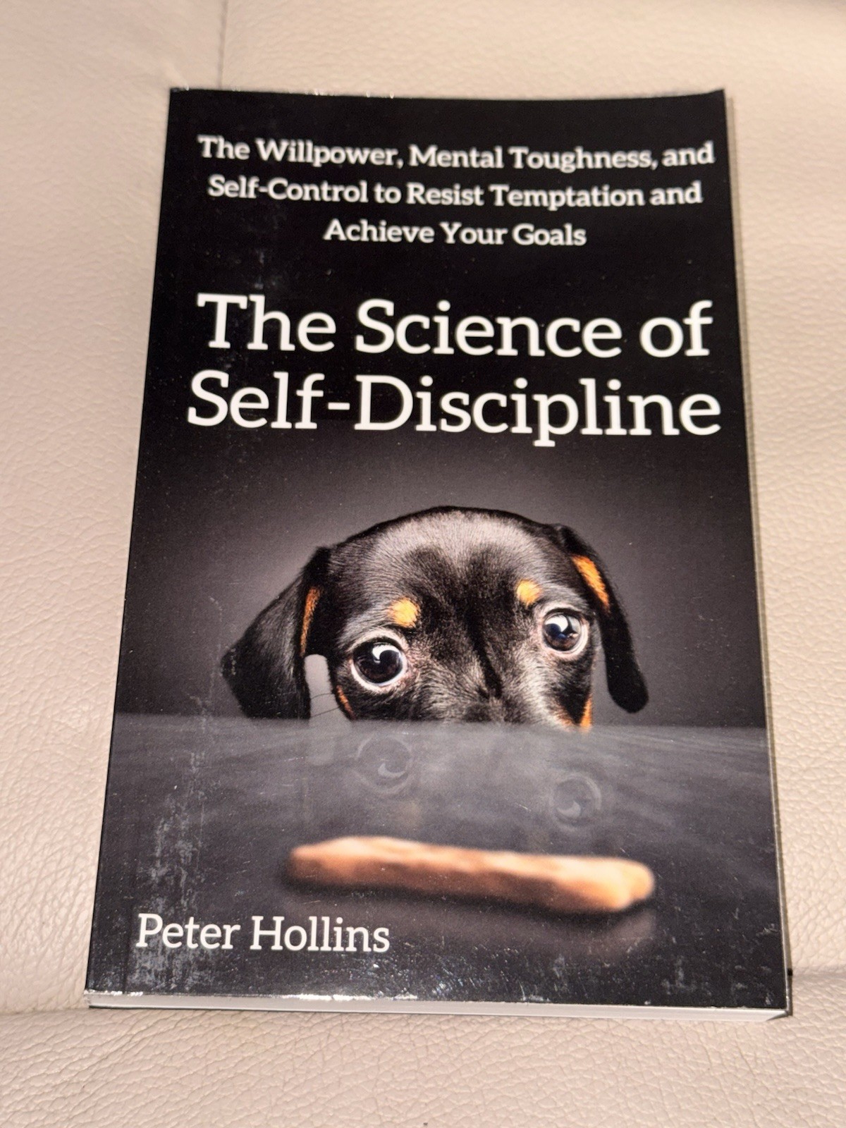 The Science of Self-Discipline Peter Hollins Paperback Productivity