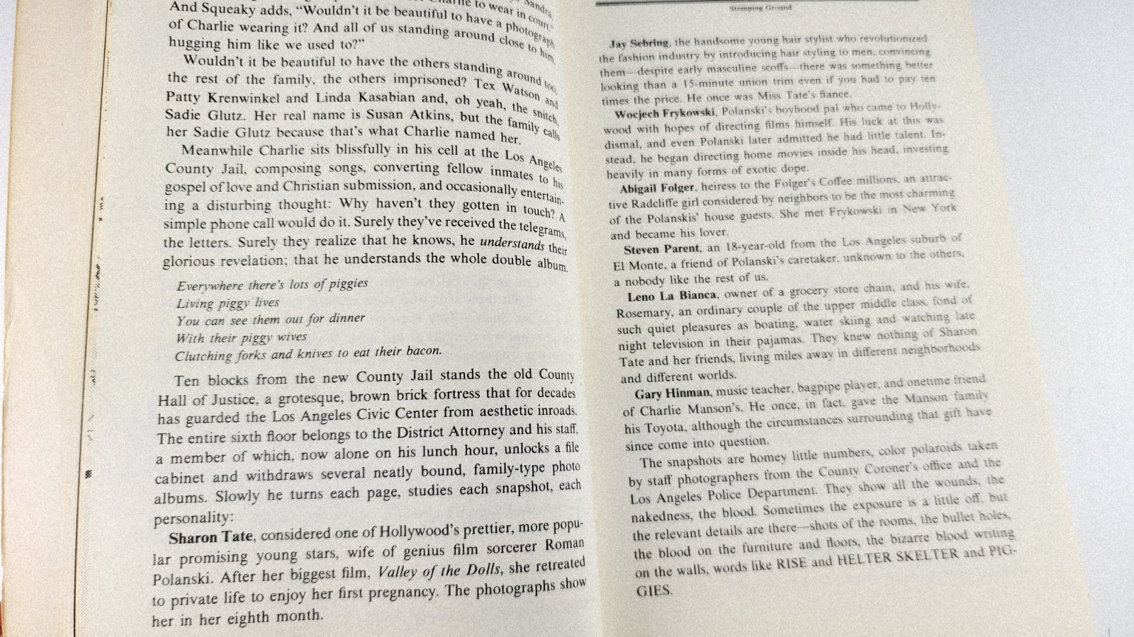 Mindfuckers / Robin Green /David Dalton / David Felton 1972 Acid Fascism Manson