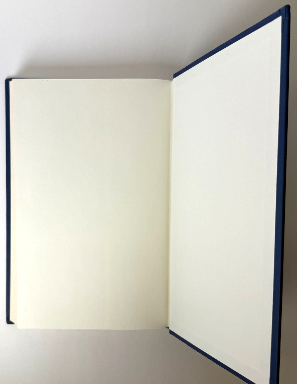 Less (Pulitzer) Andrew Sean Greer 2017 HCDJ 1st editon 1st printing in Mylar, VG