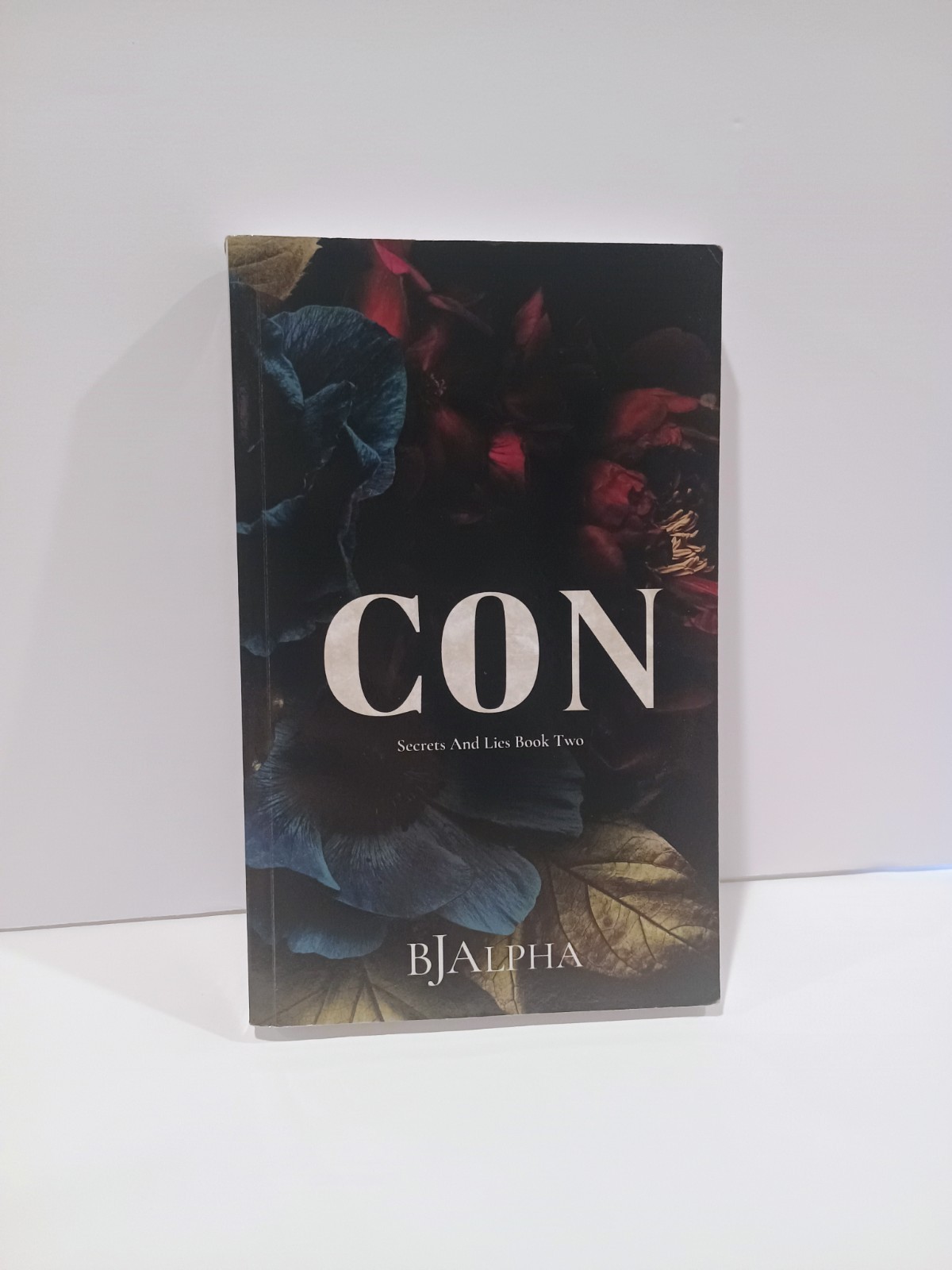 Con Discreet Cover : Secrets and Lies Discreet Cover Book 2 by Bj Alpha…