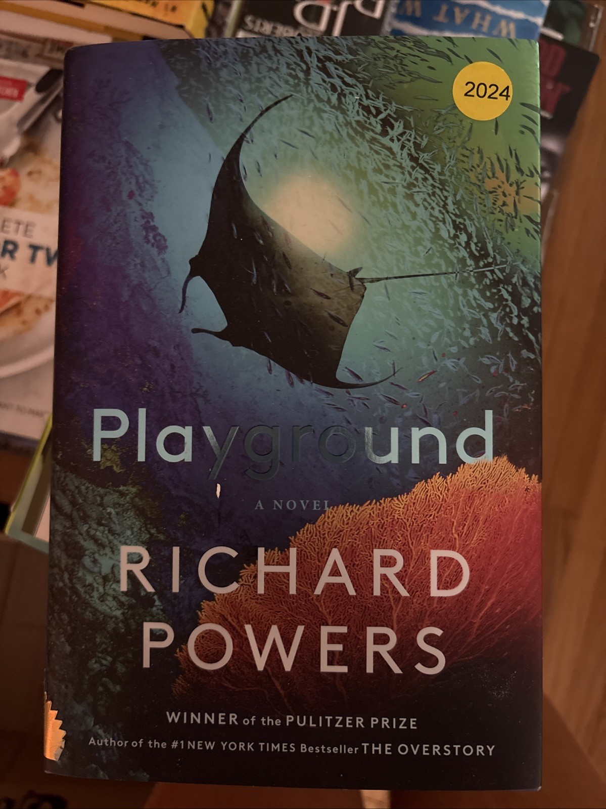 Playground by Richard Powers (2024, Hardcover)