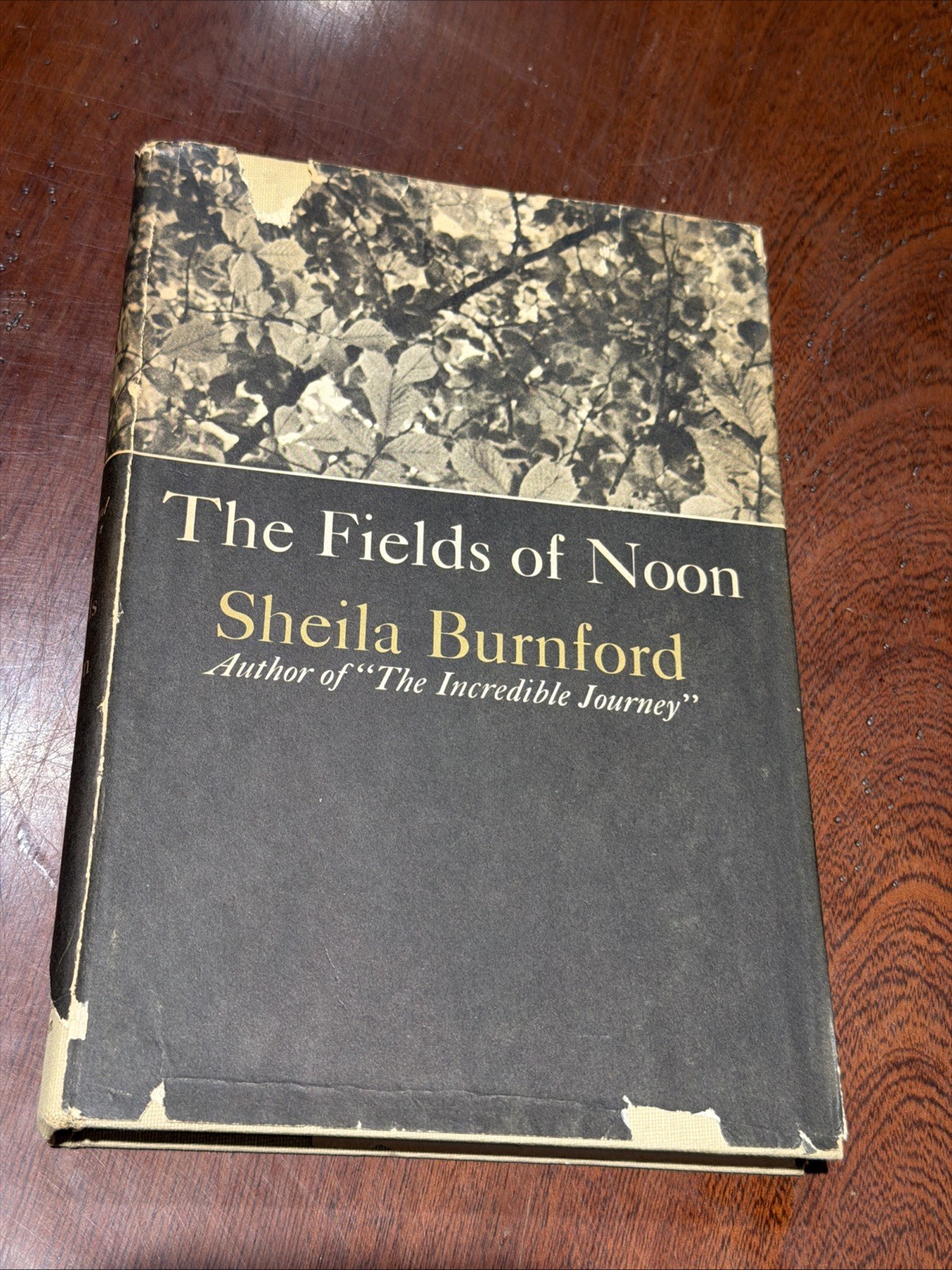 THE FIELDS OF NOON, BY SHEILA BURNFORD, FIRST EDITION, 1964 HC DJ B-2326