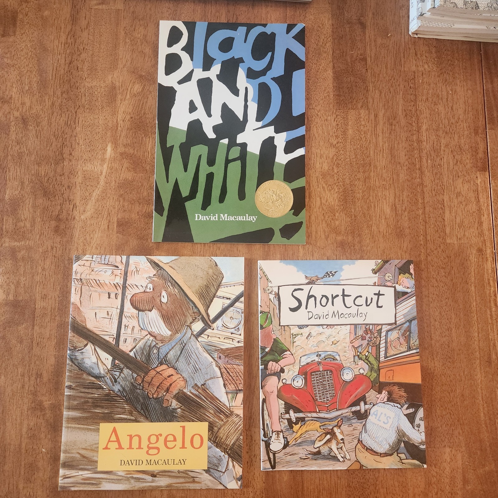 David Macaulay Lot of 3 Angelo – Shortcut – Black and White – Like NEW