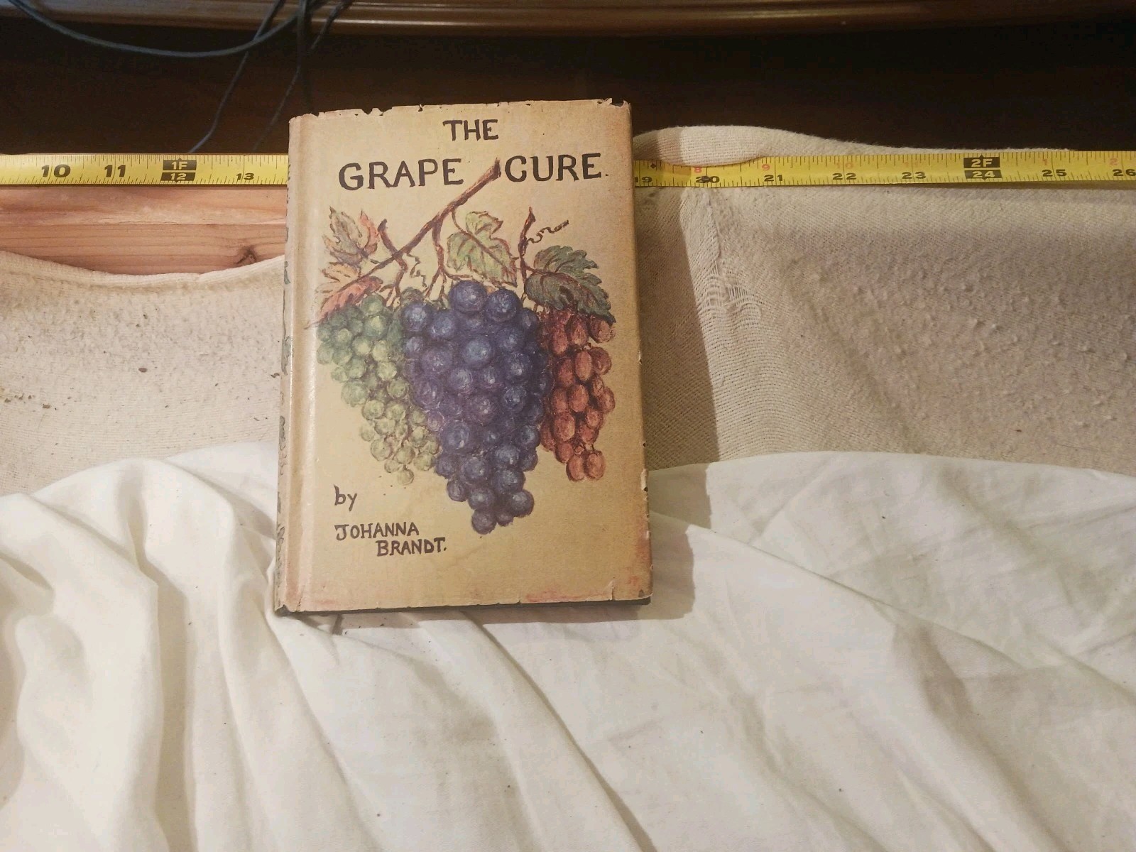 The grape cure by Johanna Brandt in hardcover copyright 1928 – 1955