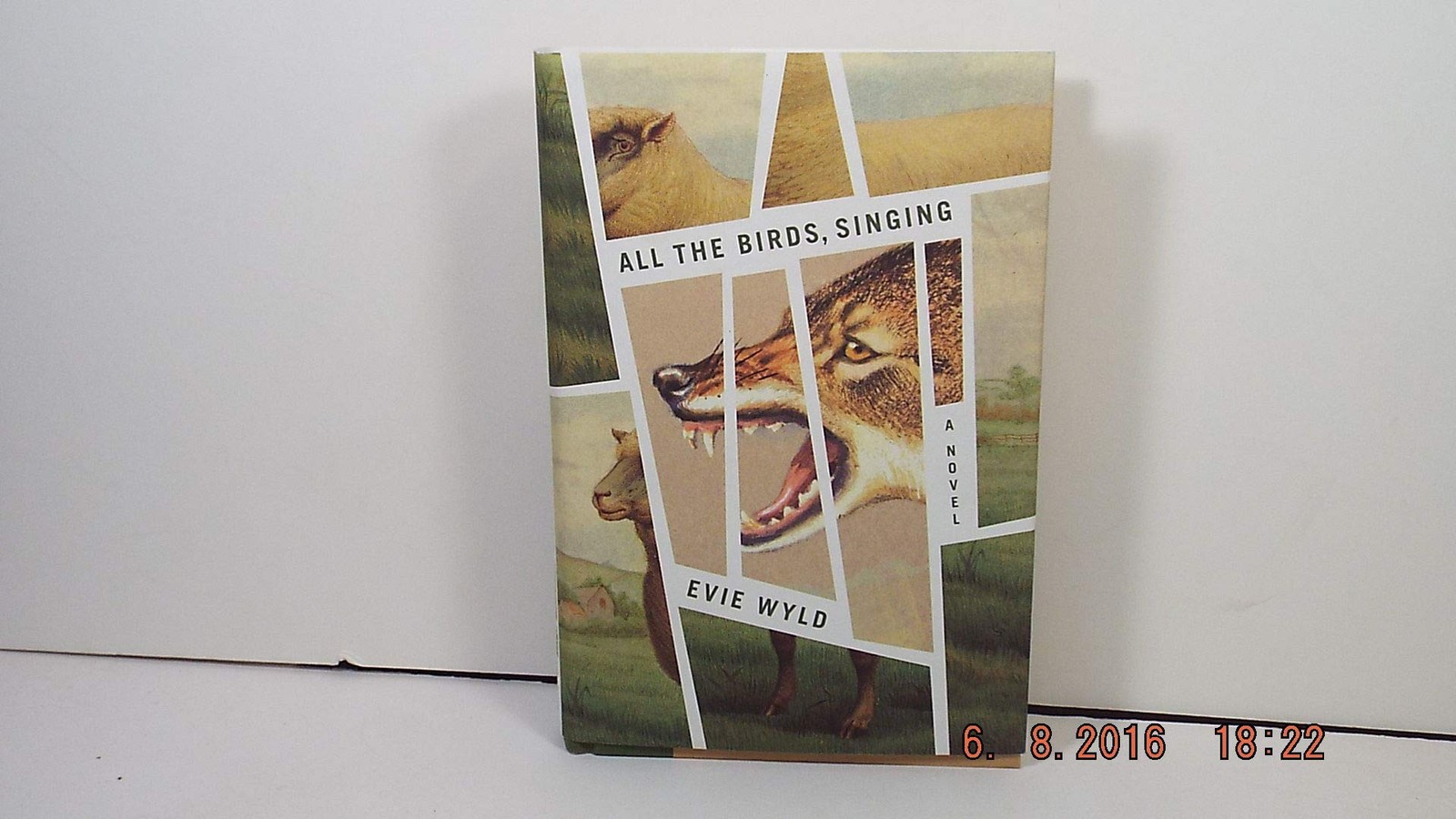 All the Birds, Singing: A Novel