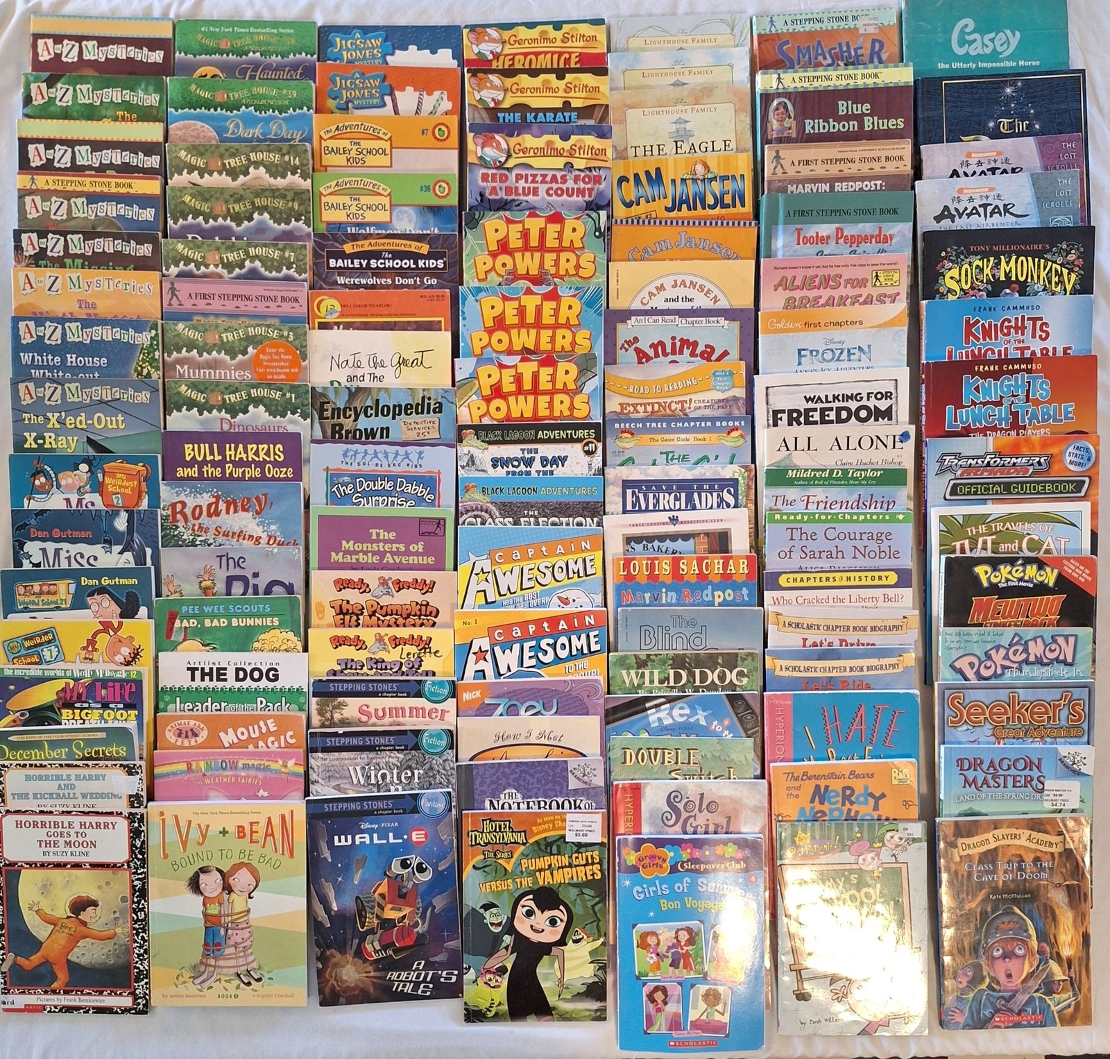 Easy Beginners Chapter 100+ Book Lot Young Readers Boys & Girls Series Mixed