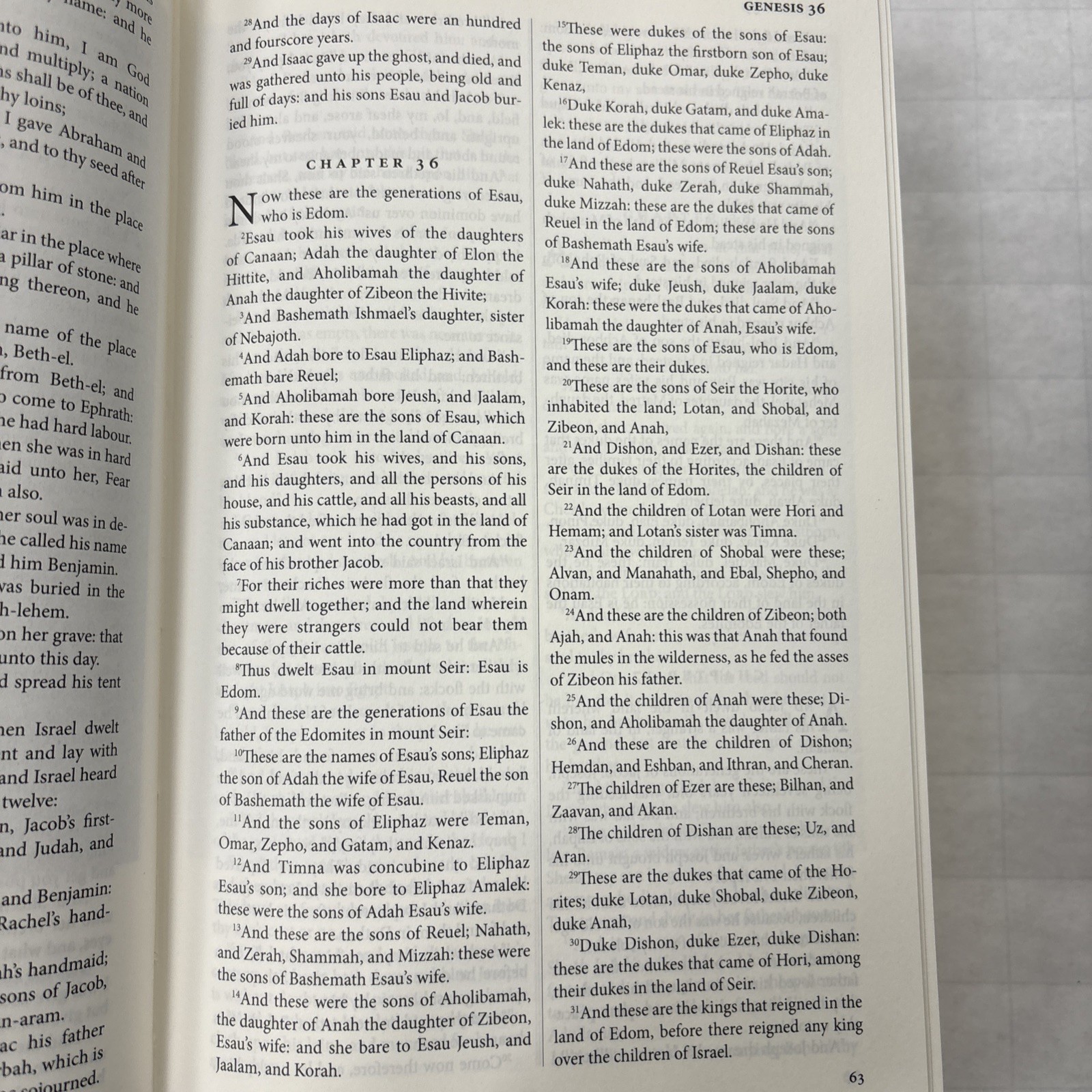 Holy Bible: King James Version (Leatherbound) by gustave-dore