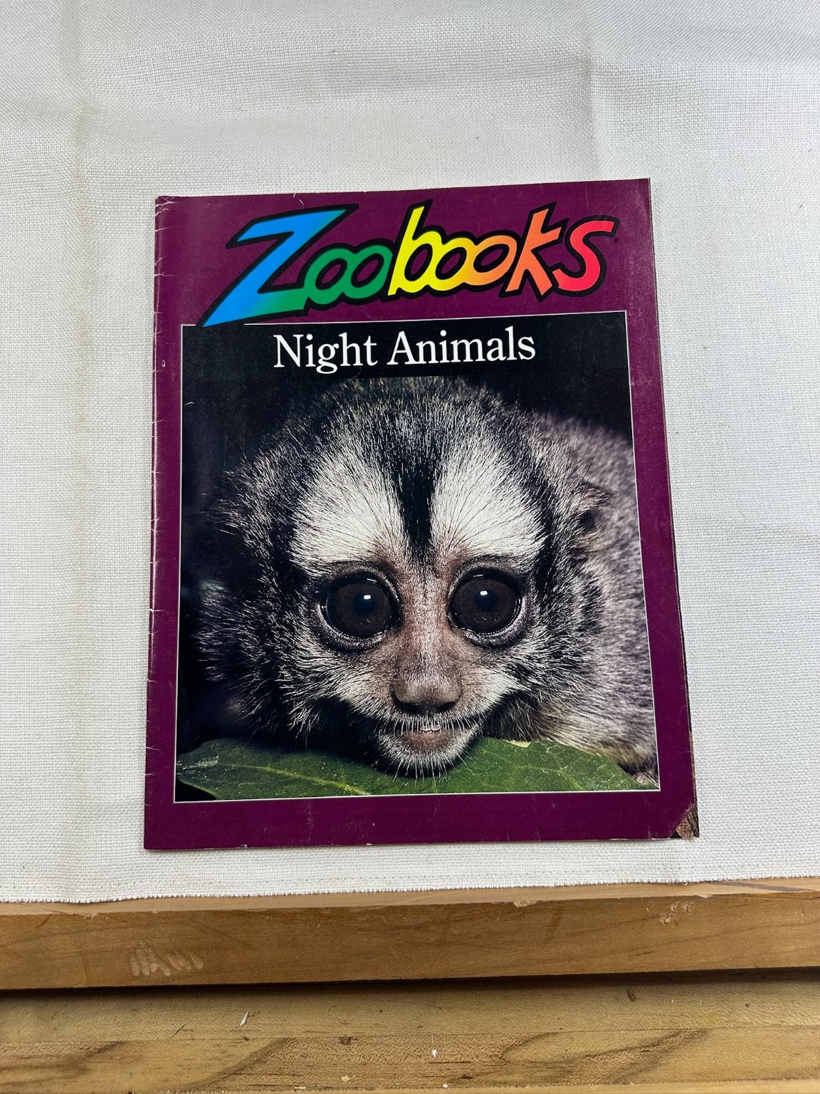Zoobooks Night Animals Carolyn Duckworth 1995 Wildlife Education Children’s