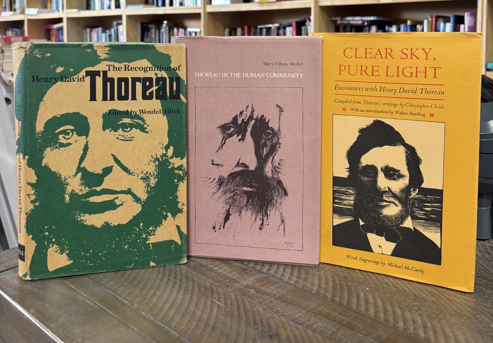 THE ILLUSTRATED WALDEN or Life in the Woods Henry David Thoreau Illustrated NEW