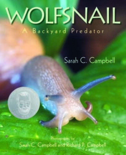Wolfsnail: A Backyard Predator – Hardcover By Sarah C. Campbell – GOOD