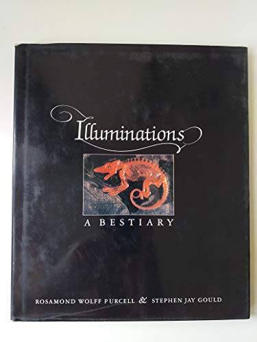 Illuminations: A Bestiary – Hardcover By Purcell, Rosamond Wolff – GOOD