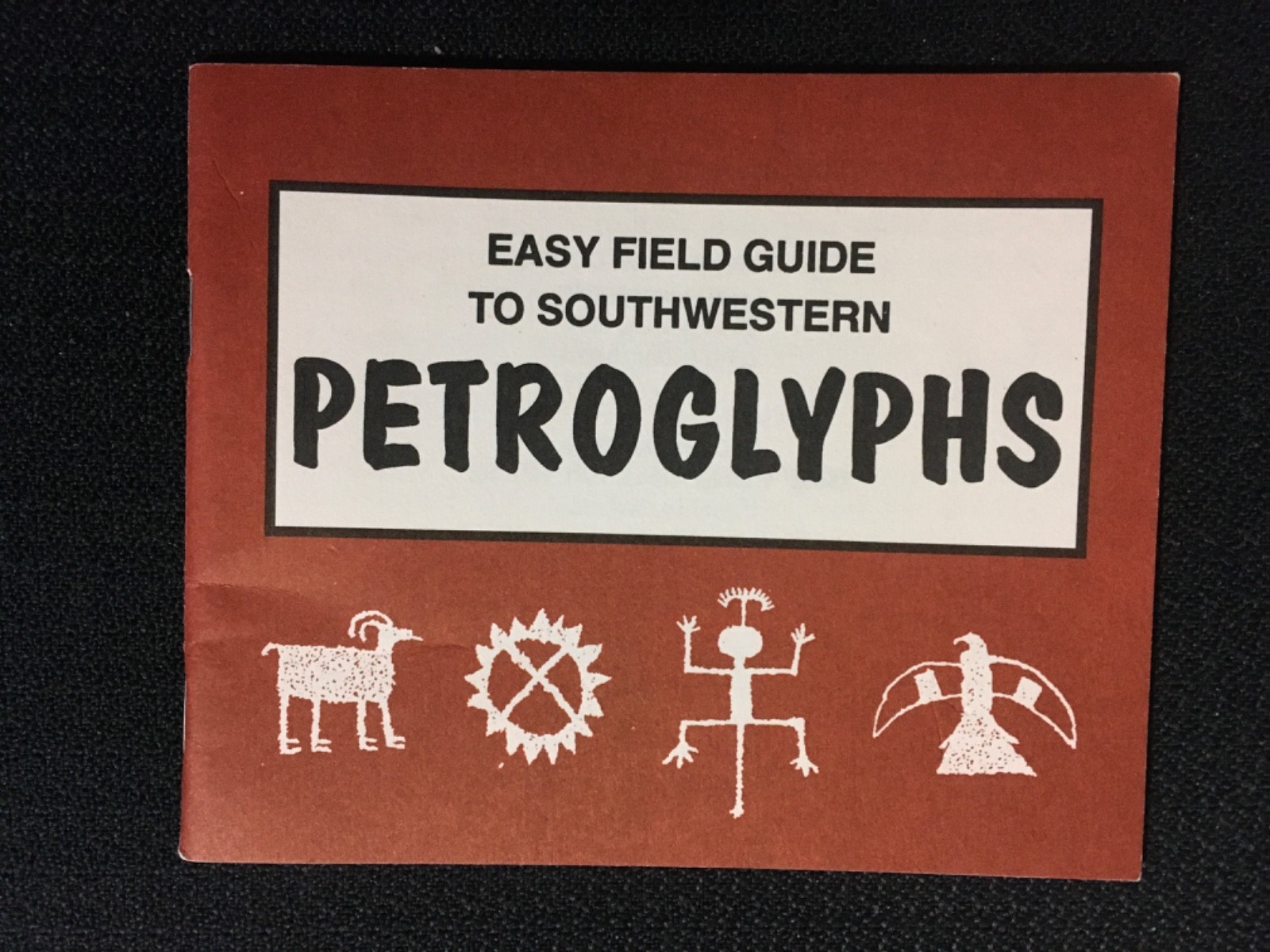 Easy Field Guide to Southwestern PETROGLYPHS Archaeology Anthropology Ruins NEW