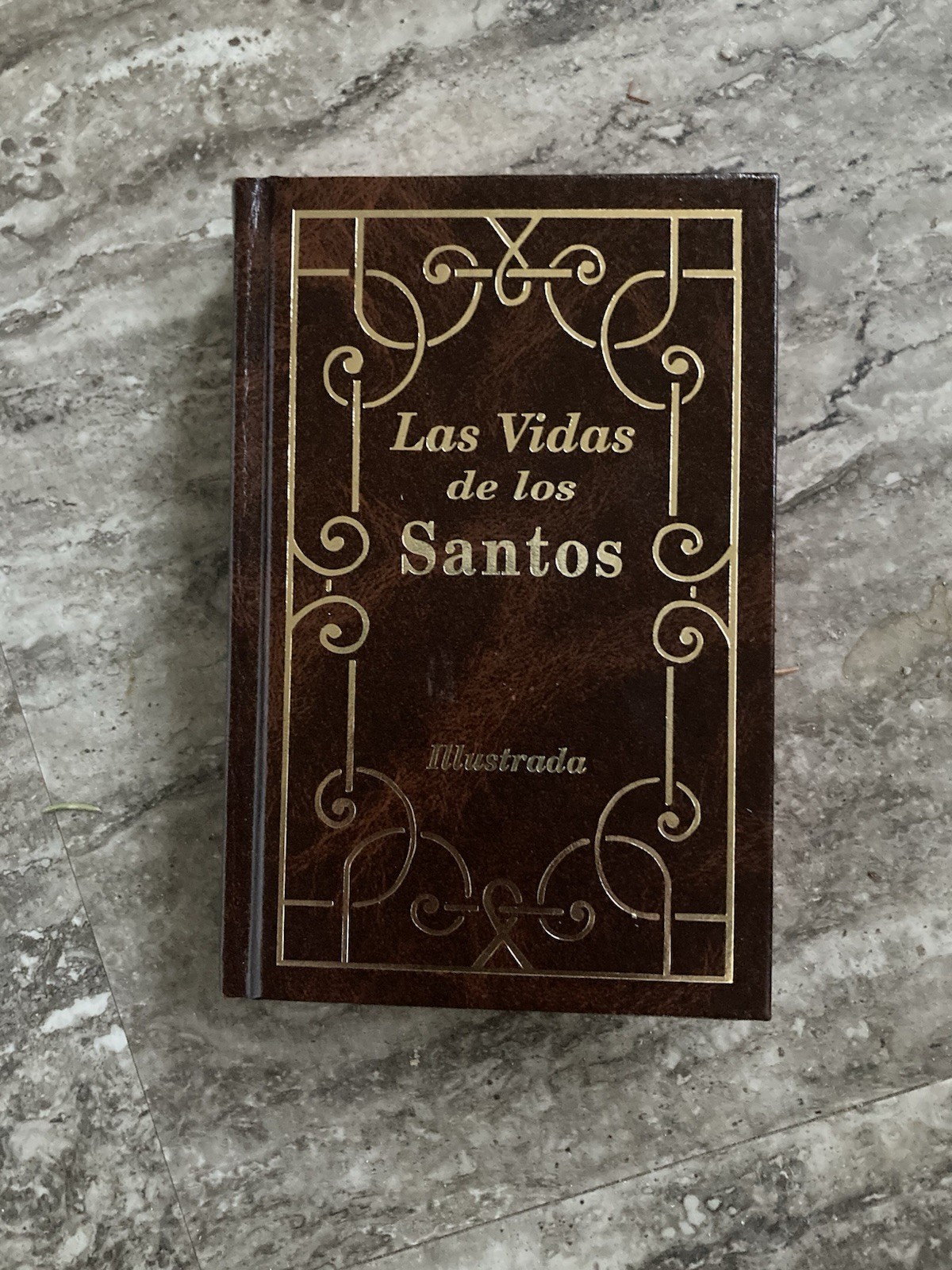 Las Vidas de Los Santos by H. Hoever (1997, Hardcover)