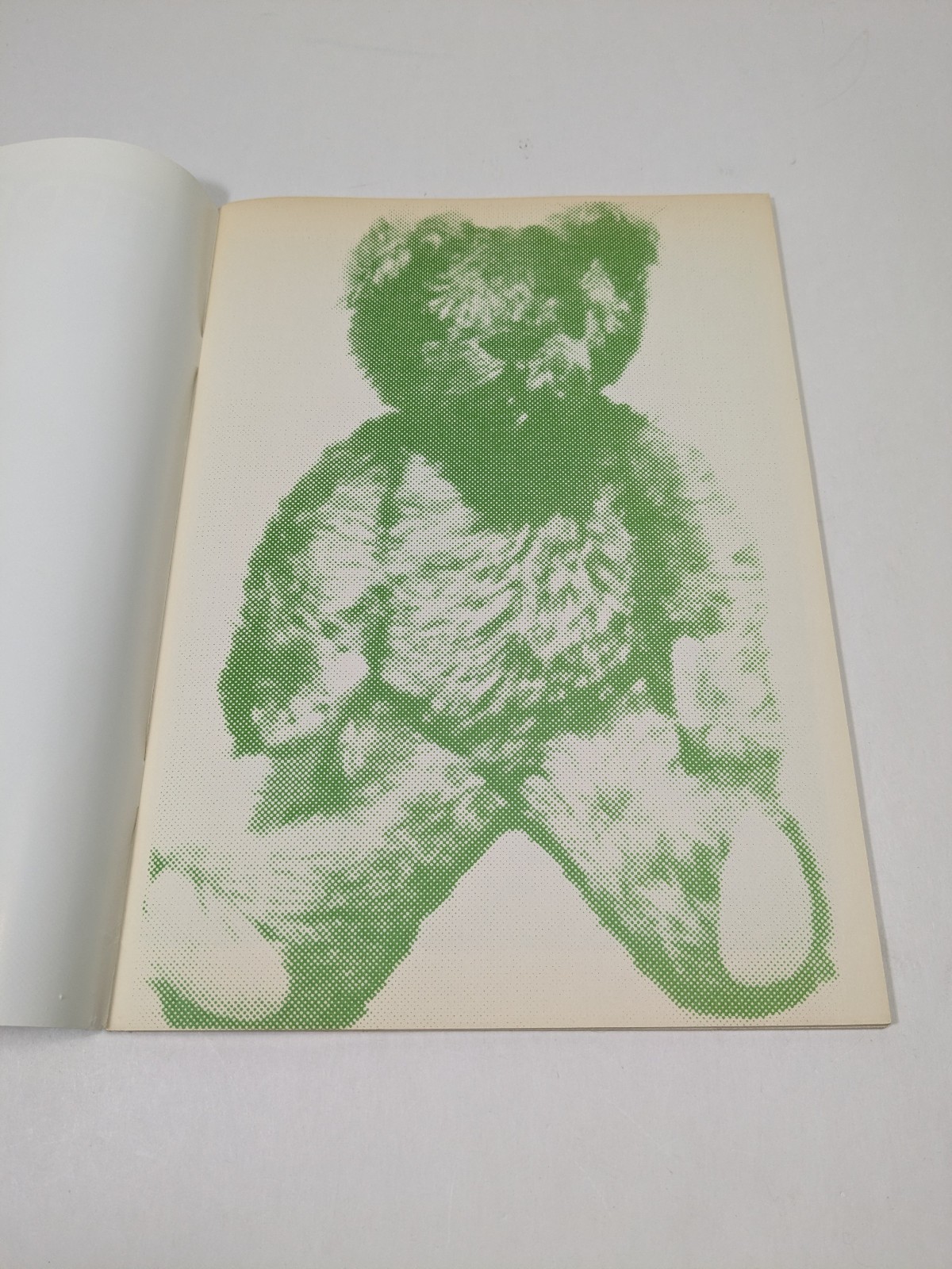Teddy Bear by Erik Van Der Weijde Paperback Oversize Art Book