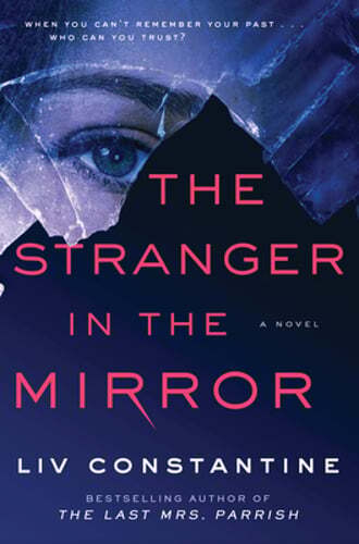 The Stranger in the Mirror by LIV Constantine: Used