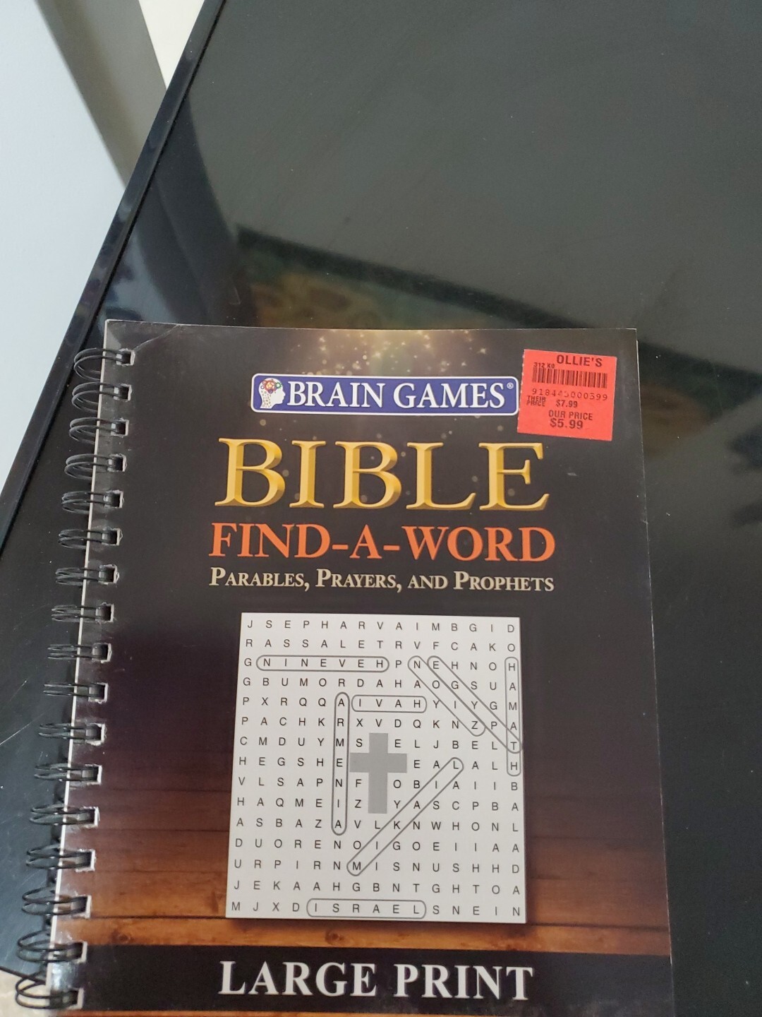Brain Games – Bible Find-a-Word : Parables, Prayers, and Prophets – Large Print
