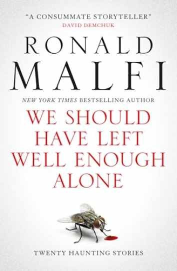 We Should Have Left Well Enough Alone – Paperback, by Malfi Ronald – New h