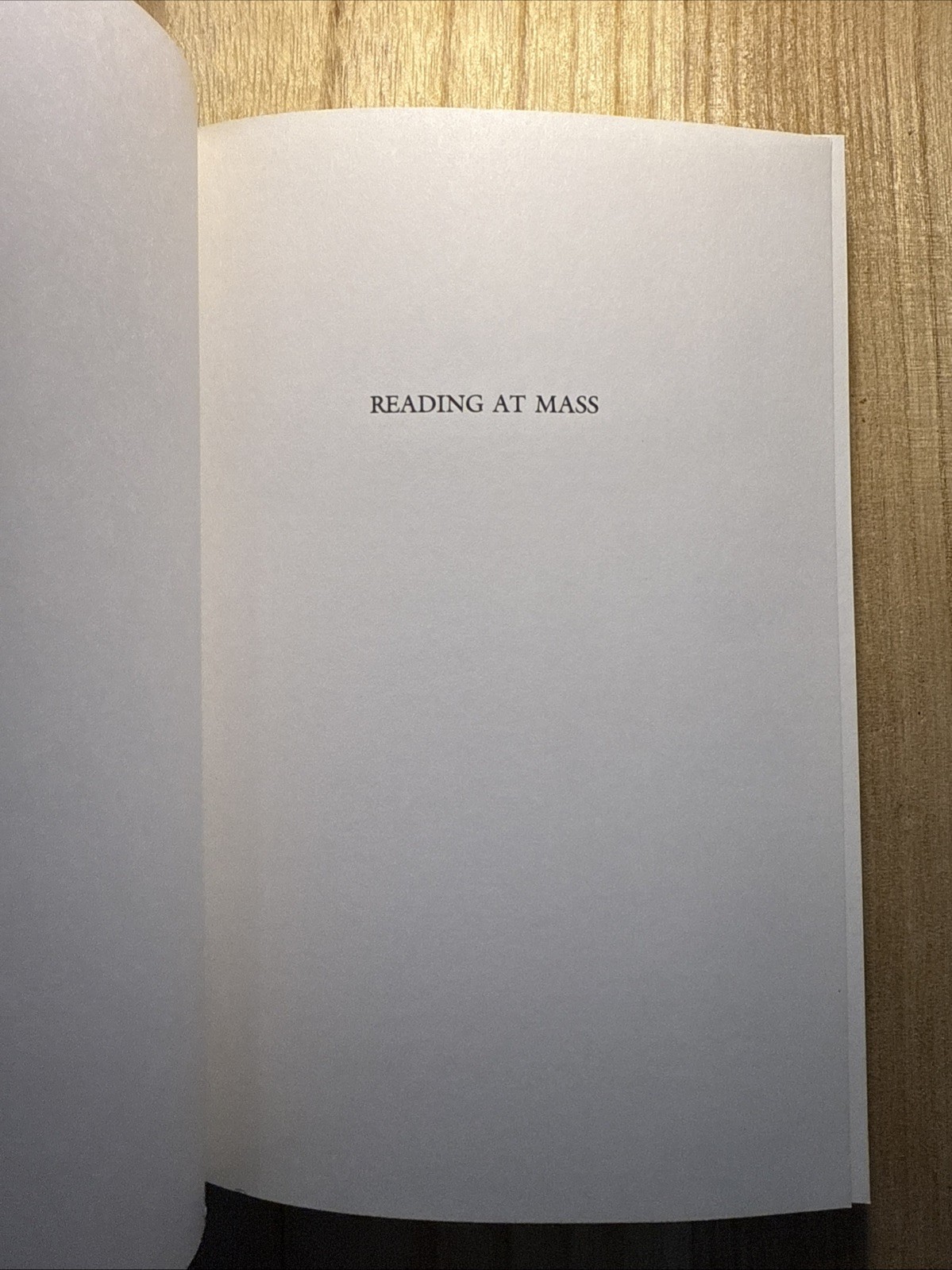 Reading at Mass : Guidelines for the Lector by Frank Mulligan (1989, Trade…