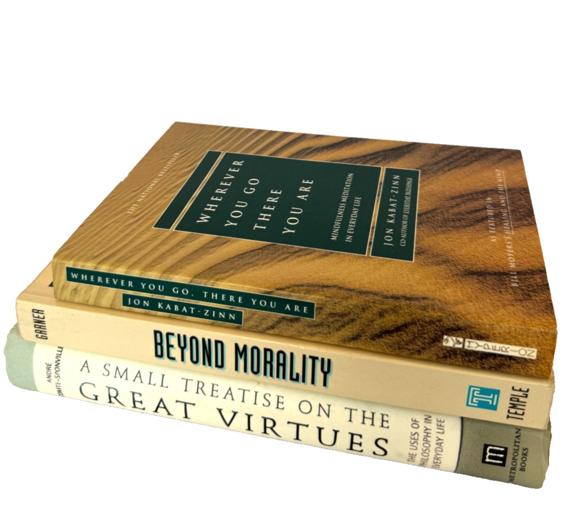 LOT 3 GREAT VIRTUES BEYOND MORALITY WHEREVER YOU GO MINDFULNESS PHILOSOPHY BOOK