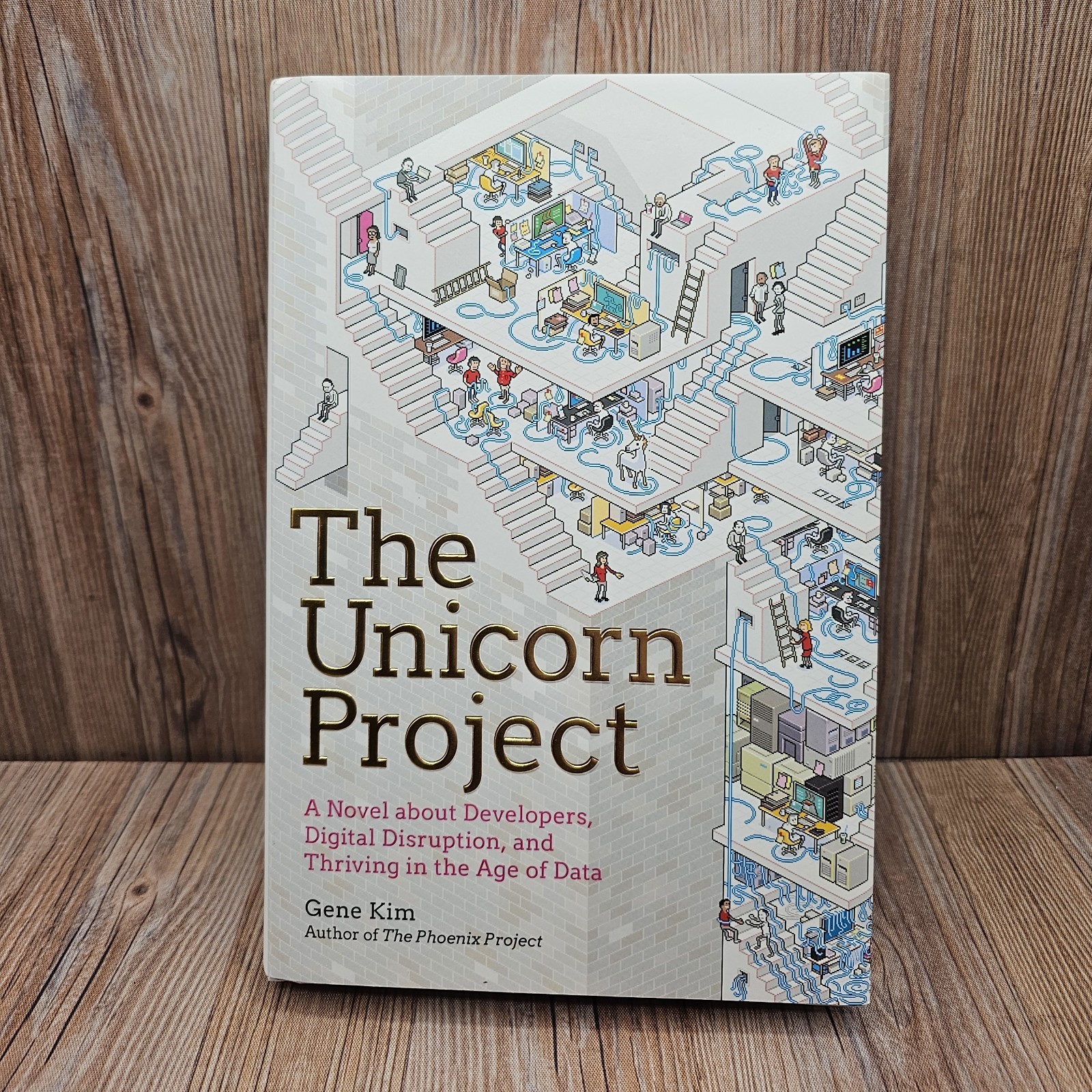 The Unicorn Project: A Novel about Developers by Gene Kim