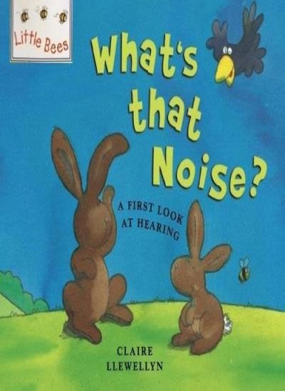 What’s That Noise?